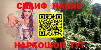 шишки Жуковский