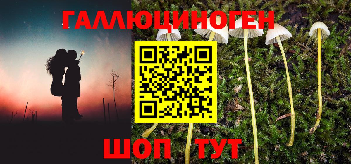 Псилоцибиновые грибы GOLDEN TEACHER Балашов