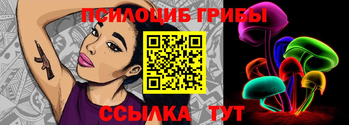 Балашов  Псилоцибиновые грибы мухоморы  Вход с VPN  Псилоцибиновые грибы Cubensis 